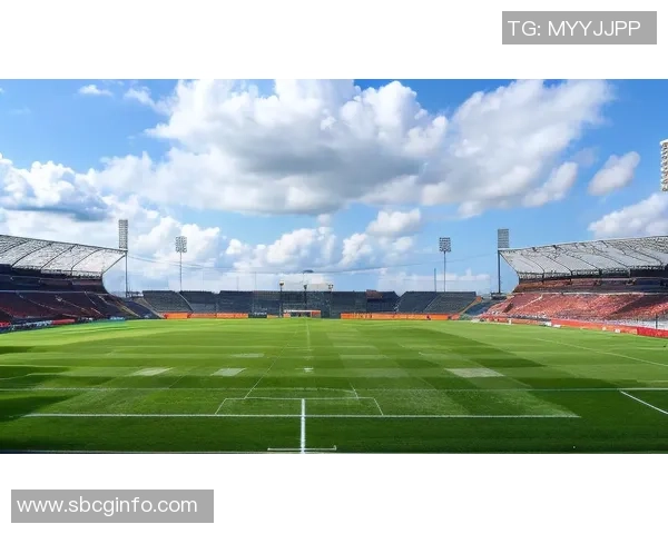 足球明星精彩瞬间拼图壁纸尽在掌握中让你随时感受绿茵场的激情与魅力